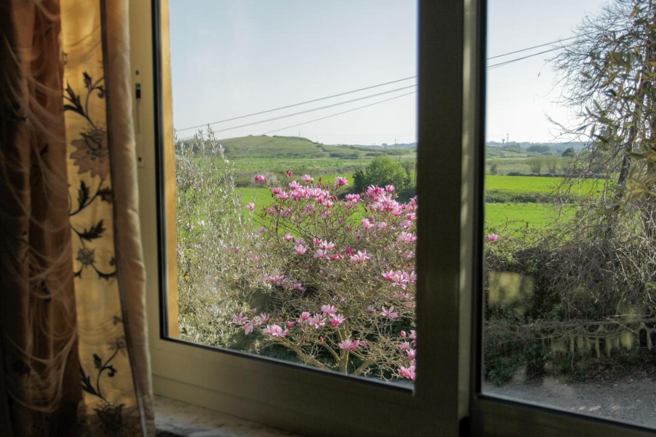 Il Casale Di Gardenia Bed & Breakfast Cesano Exterior photo